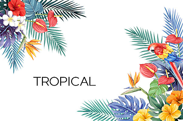 PSD 한마리 백그라운드 일러스트 사람없음 여름 앵무새 플루메리아 열대나무 야자수잎 극락조화 몬스테라 히비스커스 보테니컬아트 트로피컬아트 국내일러스트 나무 식물 1 계절 꽃 잎 조류 그림 파일형식