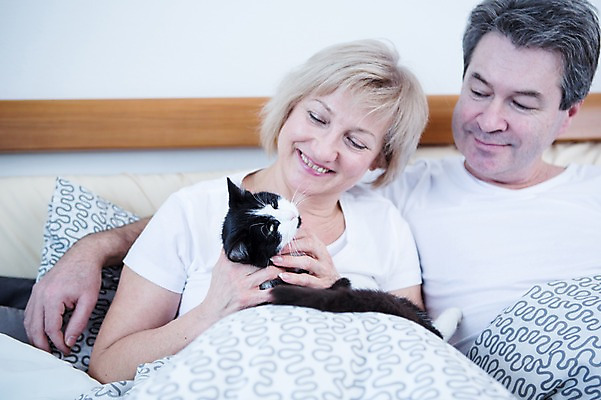 포토 JPG 백인 한마리 부부 응시 여자 남자 중년 50대 가족 안기 휴식 실내 웃음 앉기 상반신 두명 앞모습 노부부 고양이 기댐 다정 침대 반려 부부라이프 중년만 국내포토 서양인 1 라이프스타일 커플 시선 뷰포인트 가구 컨셉 포유류 관계 모션 표정 사람 성인 내부 반려동물 성인만 파일형식