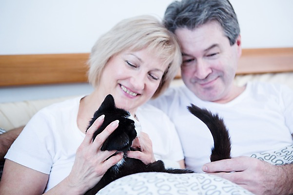 포토 JPG 백인 한마리 부부 응시 여자 남자 중년 50대 가족 안기 휴식 실내 웃음 앉기 상반신 두명 앞모습 노부부 고양이 기댐 다정 침대 반려 부부라이프 중년만 국내포토 서양인 1 라이프스타일 커플 시선 뷰포인트 가구 컨셉 포유류 관계 모션 표정 사람 성인 내부 반려동물 성인만 파일형식