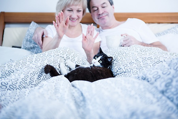 포토 JPG 백인 한마리 부부 응시 여자 남자 중년 50대 가족 휴식 실내 웃음 앉기 상반신 두명 앞모습 노부부 고양이 기댐 다정 침대 반려 부부라이프 중년만 국내포토 서양인 1 라이프스타일 커플 시선 뷰포인트 가구 컨셉 포유류 관계 모션 표정 사람 성인 내부 반려동물 성인만 파일형식