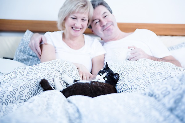 포토 JPG 백인 한마리 부부 응시 여자 남자 중년 50대 가족 휴식 실내 웃음 앉기 상반신 두명 앞모습 노부부 고양이 기댐 다정 침대 반려 부부라이프 중년만 국내포토 서양인 1 라이프스타일 커플 시선 뷰포인트 가구 컨셉 포유류 관계 모션 표정 사람 성인 내부 반려동물 성인만 파일형식