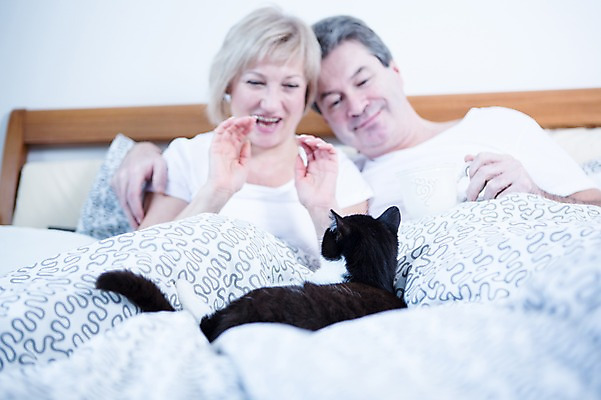 포토 JPG 백인 한마리 부부 응시 여자 남자 중년 50대 가족 휴식 실내 웃음 앉기 상반신 두명 앞모습 아웃포커스 노부부 고양이 기댐 다정 침대 반려 부부라이프 중년만 국내포토 서양인 1 라이프스타일 커플 시선 뷰포인트 가구 컨셉 포유류 관계 모션 촬영기법 표정 사람 성인 내부 반려동물 성인만 파일형식