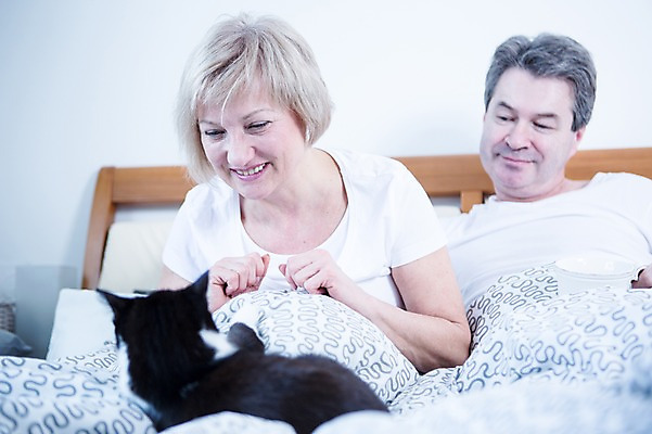 포토 JPG 백인 한마리 부부 응시 여자 남자 중년 50대 가족 휴식 실내 웃음 앉기 상반신 두명 앞모습 노부부 고양이 기댐 다정 침대 반려 부부라이프 중년만 국내포토 서양인 1 라이프스타일 커플 시선 뷰포인트 가구 컨셉 포유류 관계 모션 표정 사람 성인 내부 반려동물 성인만 파일형식