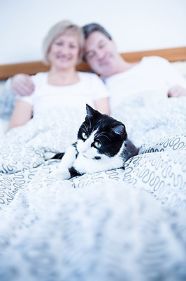 포토 JPG 백인 한마리 부부 응시 여자 남자 중년 50대 가족 휴식 실내 웃음 앉기 상반신 두명 앞모습 아웃포커스 노부부 고양이 기댐 다정 침대 반려 부부라이프 중년만 국내포토 서양인 1 라이프스타일 커플 시선 뷰포인트 가구 컨셉 포유류 관계 모션 촬영기법 표정 사람 성인 내부 반려동물 성인만 파일형식