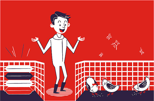 전신 남자 일러스트 조류 세마리 한명 사람 성인 청결 닭 바이러스 먹이 시설 예방 전염 조류독감 격리 국내일러스트 AI파일 동물 1 컨셉 3 위생 질병 감염 전염병 파일형식 벡터