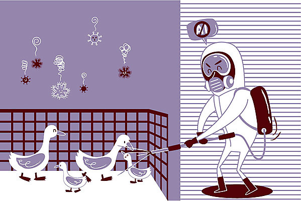 전신 남자 여러마리 일러스트 조류 한명 성인 바이러스 축사 예방 안심 방역 방한복 조류독감 퇴치 국내일러스트 AI파일 동물 1 건축물 옷 다수 컨셉 육류 사람 축산업 전염병 파일형식 벡터