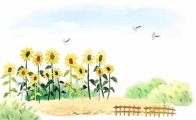 PSD 계절 일러스트 하늘 해바라기 사람없음 여름 울타리 풀 잠자리 땅 계절백그라운드 여름배경 국내일러스트 식물 꽃 곤충 백그라운드 담장 파일형식