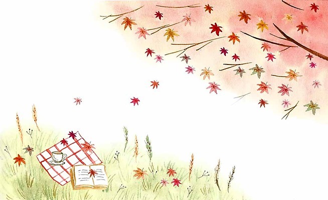 PSD 계절 커피 단풍 낙엽 일러스트 단풍나무 초원 사람없음 책 가을 돗자리 계절백그라운드 가을배경 국내일러스트 나무 음료 백그라운드 잎 파일형식 가을_계절