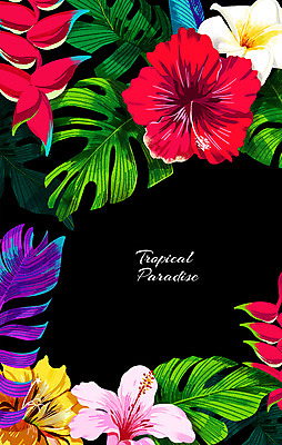 PSD 식물 꽃 잎 일러스트 열대 프레임 사람없음 열대식물 프레임일러스트 히비스커스 트로피컬아트 국내일러스트 그림 파일형식