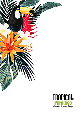 PSD 식물 꽃 일러스트 조류 열대 프레임 사람없음 열대식물 큰부리새 프레임일러스트 트로피컬아트 국내일러스트 동물 그림 파일형식