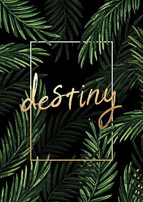 PSD 식물 잎 일러스트 캘리그라피 나뭇잎 열대 사람없음 야자수 야자수잎 금박 트로피컬아트 국내일러스트 나무 그림 파일형식