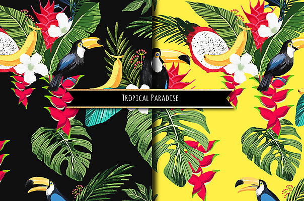 PSD 식물 꽃 ZIP 잎 패턴 과일 일러스트 나뭇잎 열대 바나나 사람없음 열대식물 용과 큰부리새 트로피컬아트 국내일러스트 무늬 조류 그림 파일형식