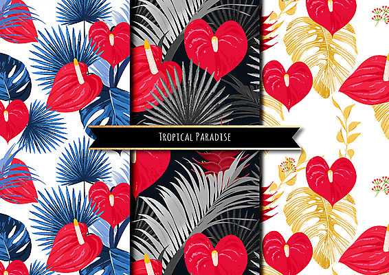 PSD 식물 꽃 ZIP 잎 패턴 일러스트 나뭇잎 열대 사람없음 야자수 열대식물 야자수잎 트로피컬아트 국내일러스트 나무 무늬 그림 파일형식