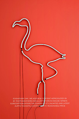 PSD 편집이미지 백그라운드 타이포그라피 사람없음 3D 플라밍고 디지털합성 네온 네온아트 편집3D 문자 조류 파일형식