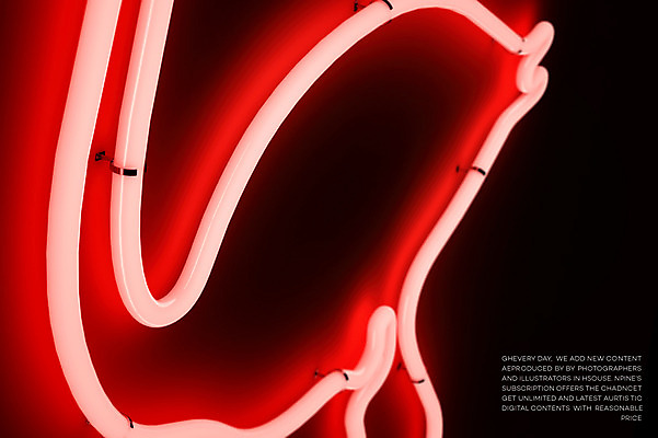 PSD 편집이미지 백그라운드 근접촬영 타이포그라피 사람없음 3D 플라밍고 디지털합성 네온 네온아트 편집3D 문자 뷰포인트 조류 파일형식