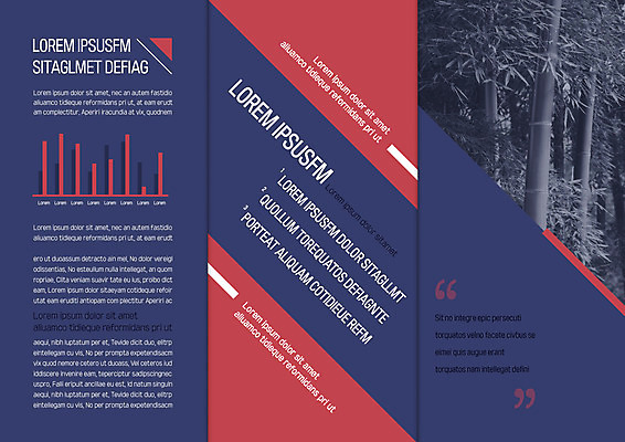 템플릿 편집 표지디자인 북디자인 출판디자인 내지 리플렛 북커버 3단접지 자연 그래프 팜플렛 사람없음 대나무 대나무숲 이미지템플릿 AI파일 나무 숲 생태계 파일형식 벡터