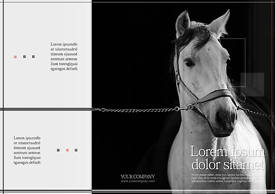 템플릿 편집 한마리 표지디자인 북디자인 출판디자인 표지 리플렛 북커버 팜플렛 사람없음 말_동물 이미지템플릿 AI파일 1 포유류 파일형식 벡터