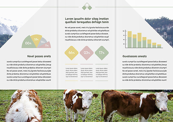 템플릿 편집 표지디자인 북디자인 출판디자인 내지 리플렛 북커버 그래프 팜플렛 사람없음 가축 목장 소 이미지템플릿 AI파일 동물 포유류 파일형식 벡터