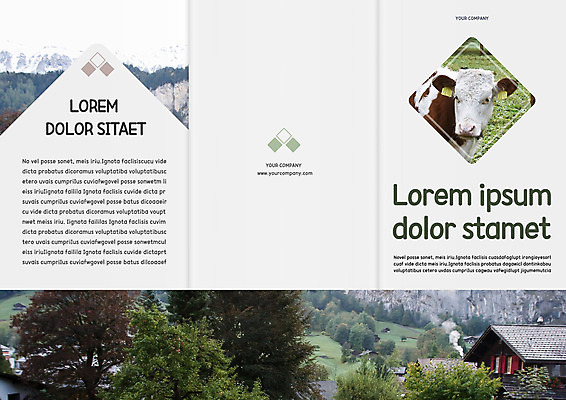 나무 템플릿 편집 한마리 표지디자인 북디자인 출판디자인 표지 리플렛 북커버 주택 팜플렛 사람없음 목장 소 이미지템플릿 AI파일 식물 1 포유류 건물 파일형식 벡터