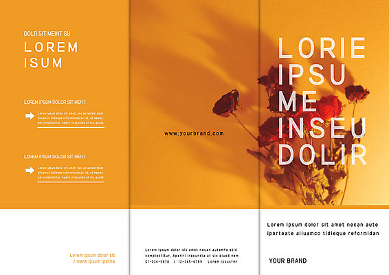 템플릿 편집 표지디자인 북디자인 출판디자인 표지 리플렛 북커버 3단접지 팜플렛 사람없음 장미 드라이플라워 이미지템플릿 AI파일 꽃 파일형식 벡터