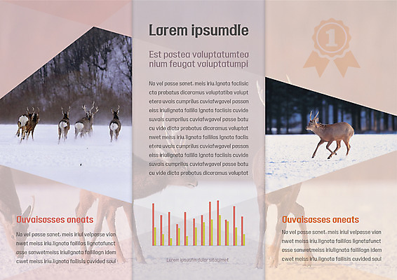 템플릿 편집 표지디자인 북디자인 출판디자인 여자 남자 내지 야생동물 리플렛 겨울 북커버 여러마리 3단접지 그래프 문화예술 사슴 팜플렛 성인 사람없음 눈 이미지템플릿 AI파일 자연요소 동물 계절 다수 포유류 날씨 사람 파일형식 벡터