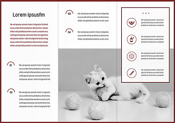 템플릿 편집 한마리 표지디자인 북디자인 출판디자인 내지 리플렛 북커버 3단접지 팜플렛 사람없음 반려동물 고양이 털실 반려 이미지템플릿 AI파일 동물 1 포유류 실 파일형식 벡터