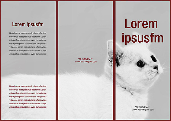 템플릿 편집 한마리 표지디자인 북디자인 출판디자인 표지 리플렛 북커버 3단접지 팜플렛 사람없음 반려동물 고양이 반려 이미지템플릿 AI파일 동물 1 포유류 파일형식 벡터