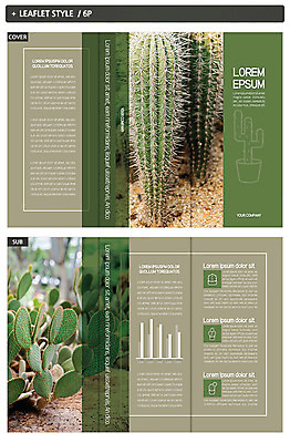 템플릿 표지디자인 표지 ZIP 내지 리플렛 3단접지 선인장 팜플렛 사람없음 인디자인 INDD 이미지템플릿 식물 파일형식