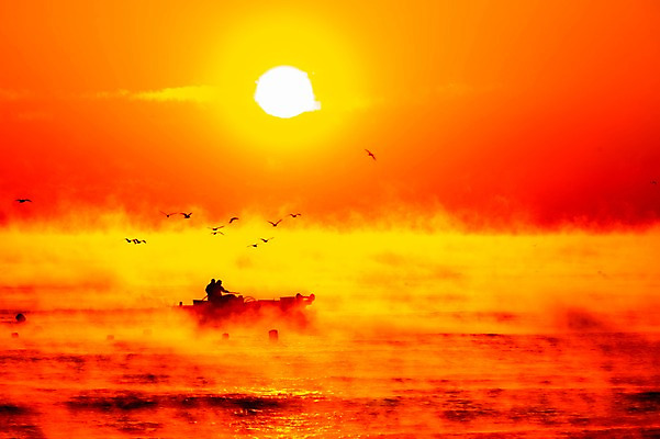 포토 JPG 주간 실루엣 바다 자연현상 자연 갈매기 한국 풍경 야외 두명 태양 일출 안개 어선 어부 국내포토 자연요소 직업 아시아 배_교통 조류 날씨 촬영기법 사람 노을 생태계 파일형식