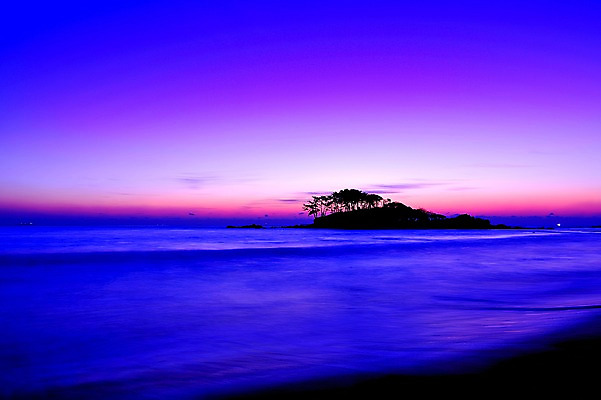 포토 JPG 나무 실루엣 바다 섬 자연현상 자연 하늘 한국 풍경 사람없음 야외 일출 새벽 명선도 국내포토 자연요소 식물 아시아 촬영기법 노을 생태계 파일형식