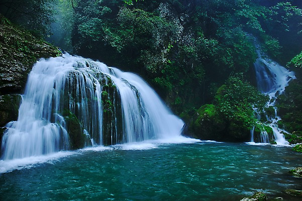 포토 JPG 주간 나무 자연 한국 이끼 풍경 사람없음 야외 계곡 폭포 바위 숲속 숲 강원도 물흐름 삼척 국내포토 자연요소 식물 아시아 흐름 돌_바위 생태계 파일형식