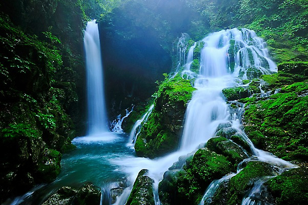 포토 JPG 주간 자연 한국 이끼 풍경 사람없음 야외 계곡 폭포 바위 숲속 숲 강원도 물흐름 삼척 국내포토 자연요소 아시아 흐름 돌_바위 생태계 파일형식