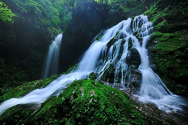 포토 JPG 주간 나무 자연 한국 이끼 풍경 사람없음 야외 계곡 폭포 숲속 숲 강원도 물흐름 삼척 국내포토 자연요소 식물 아시아 흐름 생태계 파일형식