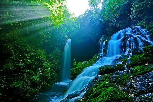 포토 JPG 주간 나무 자연 한국 이끼 풍경 사람없음 야외 햇빛 계곡 폭포 숲속 숲 강원도 물흐름 삼척 국내포토 자연요소 식물 아시아 태양 흐름 생태계 파일형식
