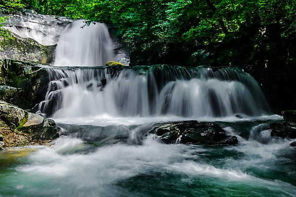 포토 JPG 주간 나무 자연 한국 풍경 사람없음 야외 계곡 폭포 숲 물흐름 방태산 국내포토 자연요소 식물 아시아 산 흐름 생태계 강원도 파일형식
