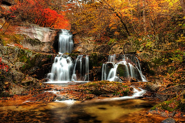 포토 JPG 주간 나무 단풍 자연 한국 풍경 사람없음 야외 가을풍경 계곡 폭포 가을 숲속 숲 물흐름 방태산 국내포토 자연요소 식물 계절 아시아 잎 산 흐름 생태계 강원도 파일형식 가을_계절