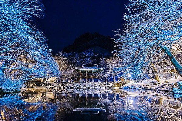 포토 JPG 나무 호수 설경 야경 자연 산 한국 물그림자 사람없음 야외 눈 정자 장성 장성백양사 겨울풍경 국내포토 자연요소 식물 건축물 아시아 겨울 날씨 그림자 풍경 사찰 야간 전라남도 생태계 파일형식 풍경_경치