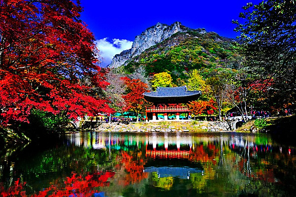 포토 JPG 주간 나무 구름 호수 단풍 자연 하늘 산 한국 물그림자 풍경 여러명 야외 여행객 가을풍경 가을 전라남도 정자 장성 장성백양사 국내포토 자연요소 식물 건축물 계절 아시아 다수 잎 그림자 사람 사찰 전라도 생태계 파일형식 가을_계절