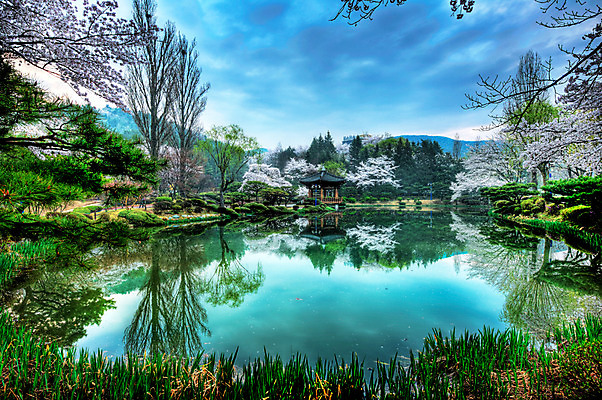 포토 JPG 주간 나무 구름 호수 자연 하늘 한국 물그림자 풍경 사람없음 야외 봄 벚꽃 경주 정자 보문정 국내포토 자연요소 식물 건축물 계절 꽃 아시아 그림자 경주_경상북도 경상북도 생태계 파일형식