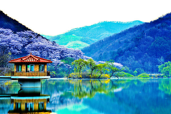 포토 JPG 주간 나무 호수 자연 산 한국 물그림자 풍경 사람없음 야외 봄 벚꽃 정자 서산 용비지 국내포토 자연요소 식물 건축물 계절 꽃 아시아 그림자 충청남도 생태계 파일형식