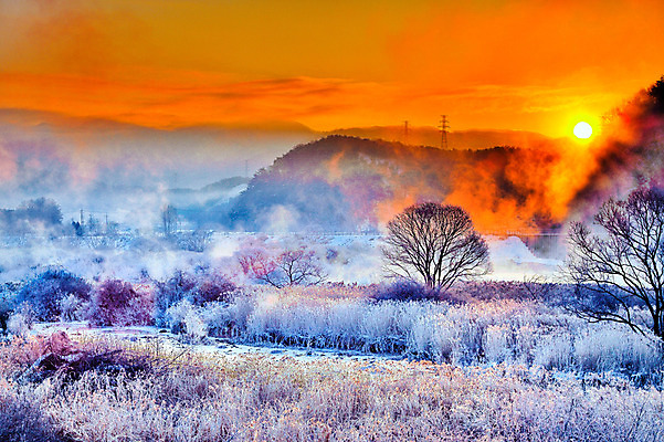포토 JPG 나무 자연현상 자연 한국 풍경 사람없음 야외 태양 일출 노을 안개 서리 춘천 국내포토 자연요소 식물 아시아 날씨 생태계 강원도 파일형식