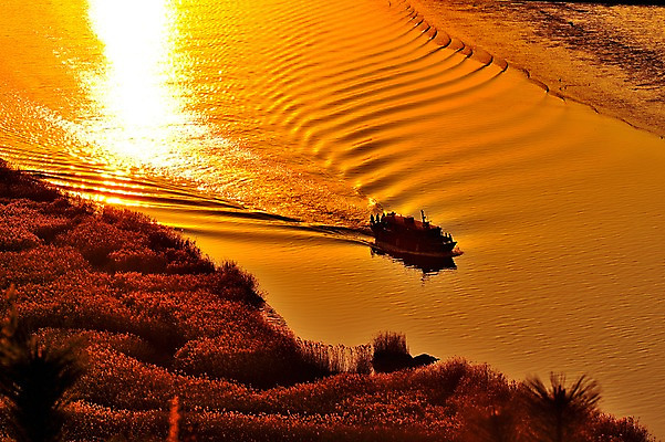 포토 JPG 바다 자연현상 자연 한국 갈대 풍경 야외 노을 유람선 순천 순천만 선박 국내포토 자연요소 식물 아시아 수상교통 배_교통 습지 전라남도 생태계 파일형식