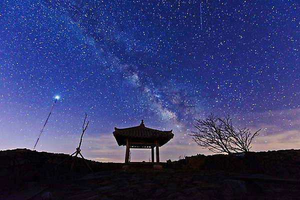 포토 JPG 나무 별 야경 자연 밤하늘 사람없음 야외 야간 정자 강원도 은하수 안반데기 국내포토 자연요소 식물 건축물 하늘 한국 생태계 파일형식 풍경_경치