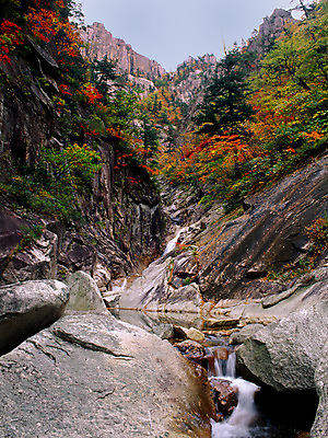 포토 JPG 주간 나무 단풍 자연 산 한국 풍경 사람없음 야외 가을풍경 계곡 폭포 가을 바위 설악산 옥련폭포 국내포토 자연요소 식물 계절 아시아 잎 돌_바위 생태계 인제 파일형식 가을_계절