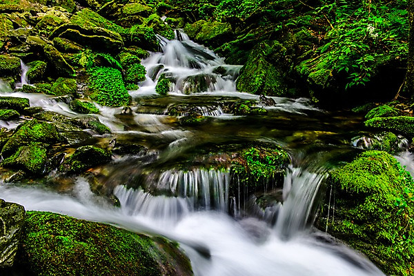 포토 JPG 주간 자연 한국 이끼 풍경 사람없음 야외 계곡 숲속 강원도 물흐름 국내포토 자연요소 아시아 흐름 숲 생태계 파일형식