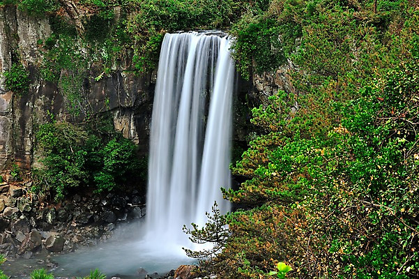 포토 JPG 주간 나무 자연 한국 풍경 사람없음 야외 제주도 폭포 바위 물흐름 정방폭포 국내포토 자연요소 식물 아시아 흐름 돌_바위 생태계 서귀포 파일형식