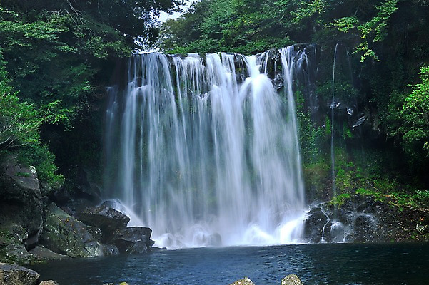 포토 JPG 주간 나무 자연 한국 풍경 사람없음 야외 제주도 폭포 물흐름 국내포토 자연요소 식물 아시아 흐름 생태계 파일형식