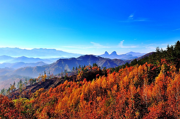 포토 JPG 주간 나무 구름 단풍 자연 하늘 한국 풍경 사람없음 야외 가을풍경 가을 숲 전라북도 부귀산 국내포토 자연요소 식물 계절 아시아 잎 산 전라도 생태계 파일형식 가을_계절