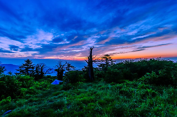 포토 JPG 나무 구름 자연 하늘 산 텐트 풍경 사람없음 야외 일출 숲 강원도 태백산 국내포토 자연요소 식물 한국 캠핑도구 노을 생태계 태백 파일형식