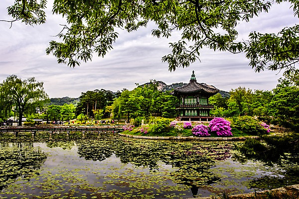 포토 JPG 주간 나무 자연 서울 풍경 여러명 야외 봄 연못 정자 경복궁 향원정 가교 국내포토 자연요소 식물 건축물 계절 다수 한국 사람 궁전 생태계 누각 파일형식